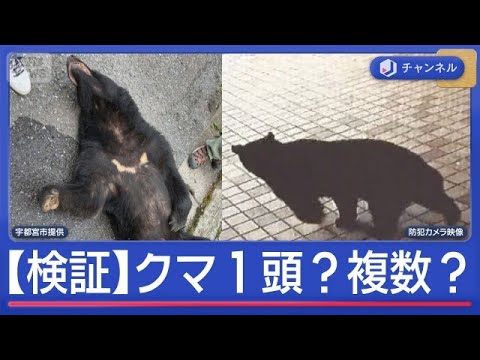 捕獲後も厳戒続く“宇都宮クマ”は1頭？複数頭？徹底検証【スーパーJチャンネル】(2026年6月10日) サムネイル