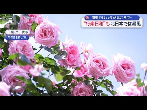 “行楽日和”も北日本では暴風　関東ではバラが見ごろで…観光地は多くの人出【スーパーJチャンネル】(2026年5月9日) サムネイル