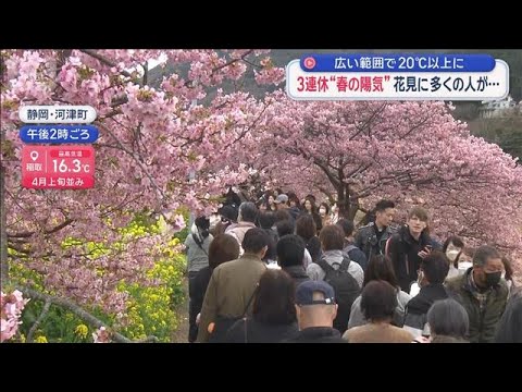 広い範囲で20℃以上に 3連休“春の陽気”花見に多くの人が【スーパーJチャンネル】(2026年2月22日) サムネイル