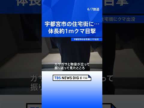 宇都宮市の住宅街でクマ目撃　体長1メートルほど　きょうも警察や猟友会などによる警戒活動｜TBS NEWS DIG sh… サムネイル