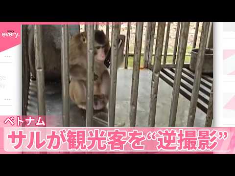 【ベトナム】スマホ泥棒と“撮影バトル”？　返してもらう条件は…『世界のミダシ』