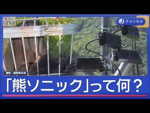 “音のバリアー”でクマが逃げる？新対策「熊ソニック」の実力【スーパーJチャンネル】(2026年5月11日) サムネイル