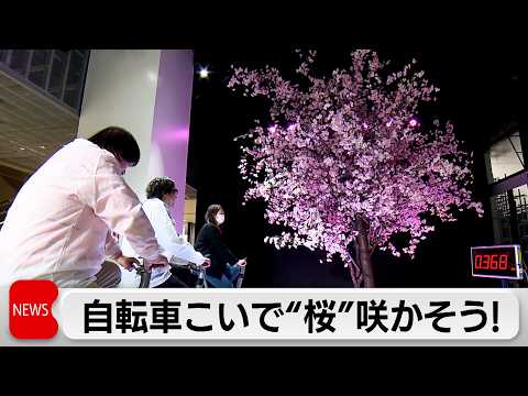 日本一早いお花見！？自転車こいで“桜”を咲かせよう！“世界に一つだけの”ミックスジュースも堪能 サムネイル
