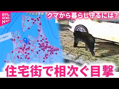 【クマ】昨年より多い目撃 住宅街へ出没の原因と対策は　青森　NNNセレクション サムネイル