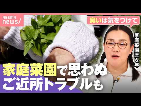 【家庭菜園】肥料に虫…隣人トラブルに発展も？注意点は 物価高の救世主“コスパ最強野菜”って？専門家に聞く｜わたしとニュ… サムネイル