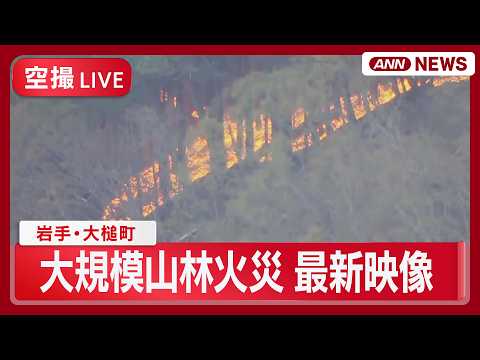 【ライブ空撮】岩手・大槌町の山林火災 発生から1日経過 延焼続く 現地最新映像【LIVE】(2026年4月23日) A… サムネイル