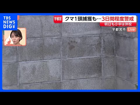 住宅敷地内にクマの足跡　宇都宮のクマ1頭捕獲も…今後3日間は警察や猟友会と警戒続ける【現場中継】｜TBS NEWS D…