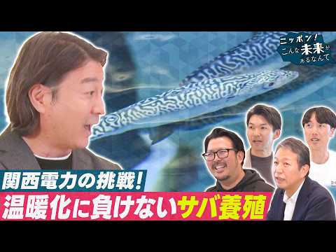 関西電力が温暖化に負けない「サバ養殖」に挑戦のワケ!?【ニッポン！こんな未来があるなんて～巨大企業の変革プロジェクト～】 サムネイル