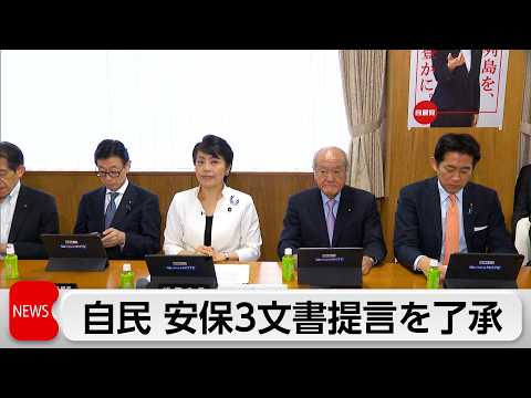 自民党　国家安全保障戦略など安保3文書の改定に向けた政府への提言案を了承 サムネイル