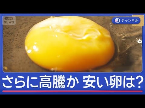 卵さらに高騰の恐れ　中東情勢と鳥インフルで業者悲鳴　安く買える穴場は？【スーパーJチャンネル】(2026年3月27日)
