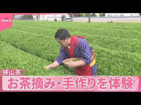 【いまダケッ】「狭山茶」新茶はなぜ甘い？茶葉レシピも  お茶摘み・手作りを体験 サムネイル