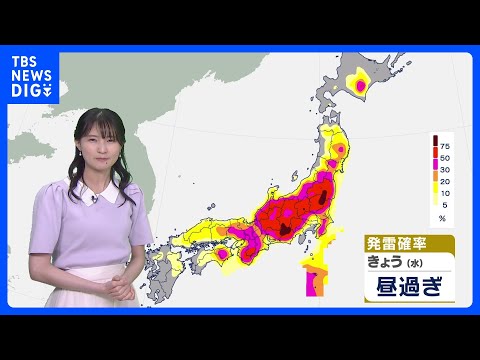発雷確率50％以上で本州は昼頃から至る所で雷雨のおそれ　突風やひょうにも注意｜TBS NEWS DIG