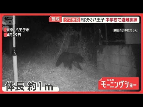 多摩川河川敷に“大型獣”の痕跡　東京のクマ「分布拡大中」　観光地に影響も【羽鳥慎一モーニングショー】(2026年6月2… サムネイル
