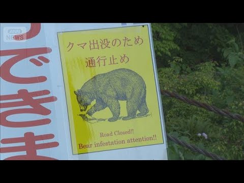 遊歩道で男女がクマに襲われけが　富山・立山町(2026年5月14日) サムネイル