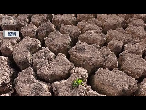 欧州“最も温暖化進む大陸”EU機関分析　山火事焼失面積も過去最大(2026年4月29日) サムネイル