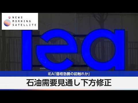 IEA「価格急騰の前触れか」 石油需要見通し下方修正【モーサテ】 サムネイル