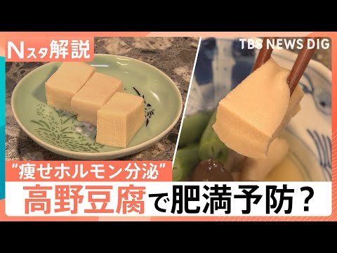 高野豆腐に肥満予防の可能性　新研究で“痩せホルモン”分泌も　ガパオやかりんとうなど煮物以外の活用術【Nスタ解説】｜TB… サムネイル