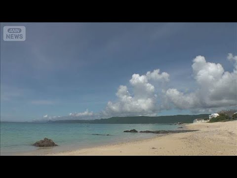 国内最大スカウトグループの会長逮捕　「奄美に似てる人がいる」情報提供が決め手に【もっと知りたい！】【グッド！モーニング… サムネイル