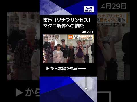 【ニュース】230キロ超え巨大マグロを豪快に解体　築地唯一の女性“ツナプリンセス”の挑戦shorts サムネイル