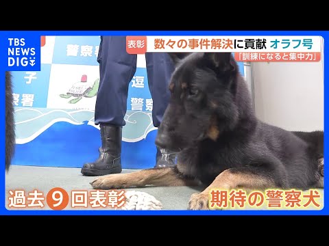 期待の警察犬「オラフ号」　行方不明高齢男性の発見に貢献で表彰　数々の事件解決に貢献　過去9回表彰　“訓練になると集中力… サムネイル