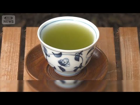 重油不足で「一番茶」製造に影響　ナフサ供給滞り包装もままならず【もっと知りたい！】【グッド！モーニング】(2026年4… サムネイル