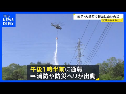 岩手・大槌町で新たな山林火災 消防や防災ヘリが出動し消火活動 火の勢い収まる｜TBS NEWS DIG サムネイル