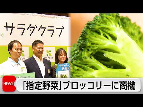 ブロッコリー 4月1日から指定野菜に　「サラダクラブ」がそのまま食べられるパック商品を開発