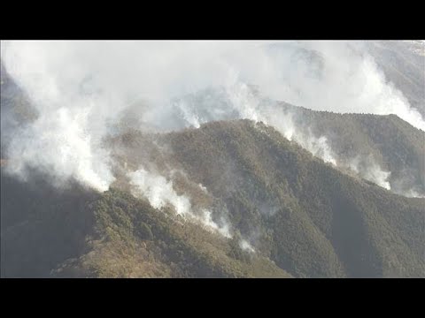 火事「もらい火」で賠償は困難　請求可能は1～2％　「再調達価額」補償の保険検討を【もっと知りたい！】【グッド！モーニン…
