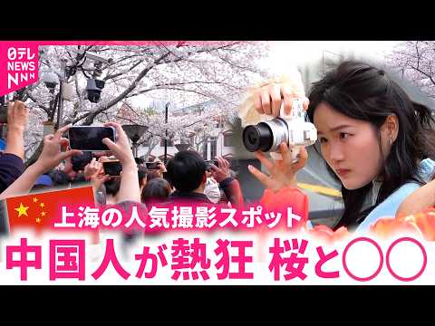 【ガチ中国】何を撮ってる？上海の人気撮影スポット 人が集まるワケは サムネイル