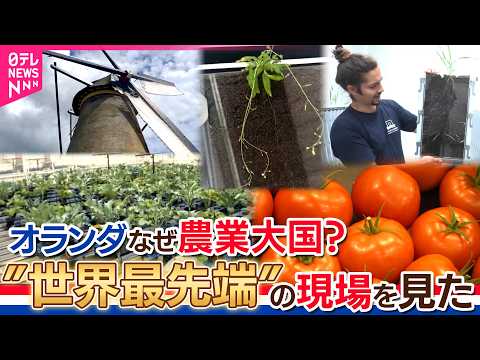 両陛下訪問記念：オランダ「農業大国」なぜ？”未来のトマト”そして”まるでディスコルーム”の最先端技術を見た！若き首相と…