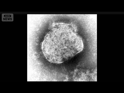 はしか感染者数急増　去年の同時期の4倍超に【スーパーJチャンネル】(2026年3月24日)