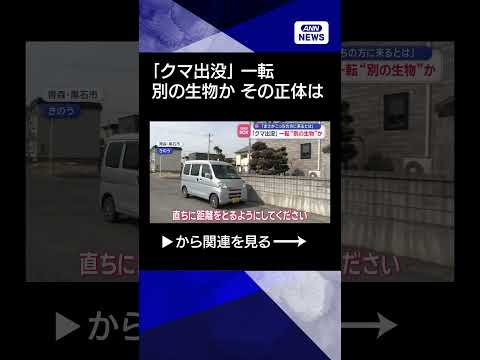 【ニュース】「クマ出没」一転“別の生物”か　「まさかこっちの方に来るとは」 shorts