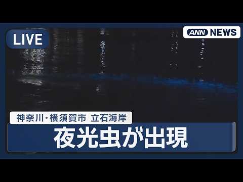 【リプレイ】時折、海が青く輝く…夜光虫が出現  立石海岸 神奈川・横須賀市 Sea sparkle【午後8時すぎ～】(… サムネイル