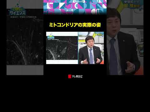 ミトコンドリアの実際の姿 いまからサイエンス 加藤浩次 古旗笑佳 BSテレ東 テレ東BIZ サムネイル