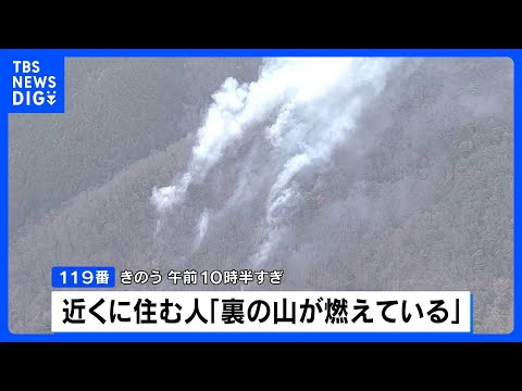 大阪・能勢町で山林火災 約10万平方メートル焼ける　70代男性が軽傷｜TBS NEWS DIG