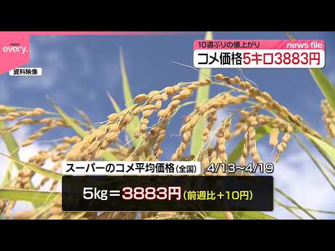 【コメ平均価格】10週ぶりの値上がり  5キロ3883円