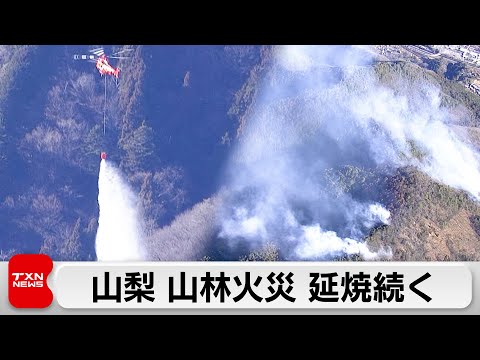 山梨山林火災延焼続く 16ヘクタール焼損 サムネイル
