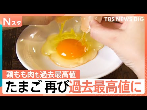 「物価の優等生」が再び最高値に　卵に鶏もも肉…食品価格の高止まりはいつまで続く？【Nスタ解説】｜TBS NEWS DIG サムネイル