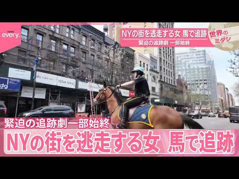 【緊迫の追跡劇一部始終】NYの街を逃走する女  馬で追跡 サムネイル