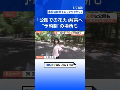 夏の到来を前に「公園での花火」解禁の動き “予約”が必要なケースも 街の人たちの受け止めは？｜TBS NEWS DIG… サムネイル