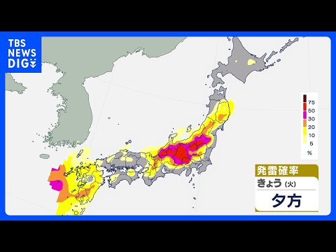 晴れて夏日続く所も　午後は天気の急変に注意　内陸中心に急な強い雨や雷雨のおそれ｜TBS NEWS DIG サムネイル