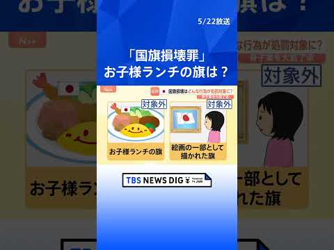 「お子様ランチの旗」は対象外… 国旗損壊罪の骨子案を自民プロジェクトチームが大筋了承　対象となる「旗」は？行為は？｜T… サムネイル