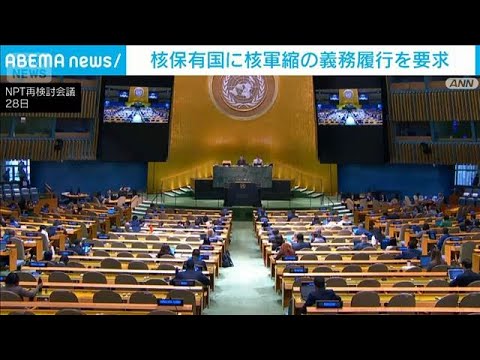 核保有国に核軍縮の義務履行を要求　NPT再検討会議(2026年4月29日) サムネイル