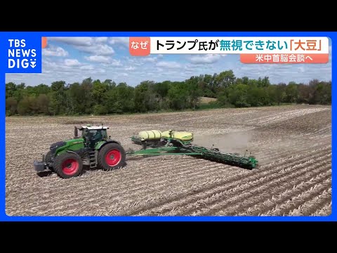 中国の対米交渉 最強カードは「大豆」？トランプ大統領が“無視できない”理由に農業団体の持つ大きな政治力｜TBS NEW… サムネイル