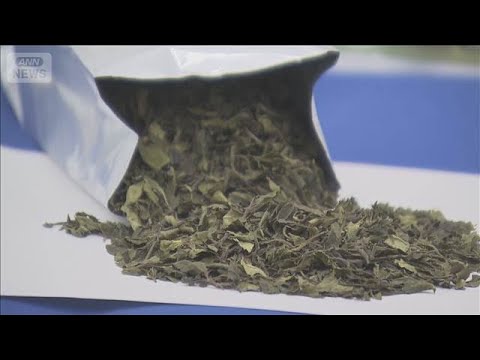 違法薬物含む「カート」　国内で初押収【スーパーJチャンネル】(2026年3月17日)