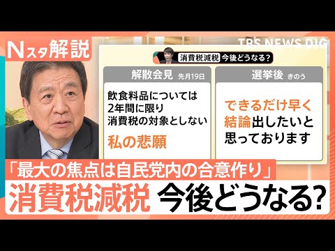 “高市旋風”自民が歴史的大勝　「消費税ゼロ」「非核三原則」どうなる？“白紙委任状態”政策の行方は【Nスタ解説】｜TBS… サムネイル