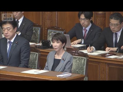 暫定予算が成立　11年ぶりの措置　新年度予算案成立までのつなぎ　中道なども賛成(2026年3月30日)