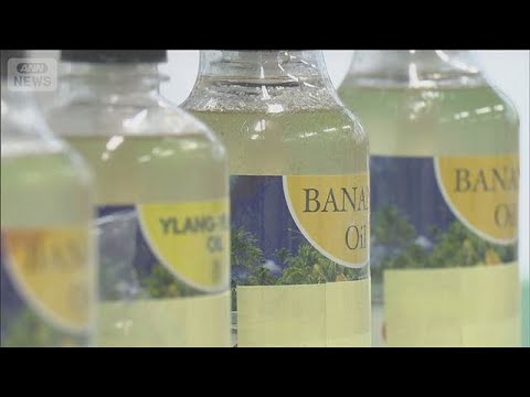 「ゾンビたばこ」2000万円相当をタイから密輸か【スーパーJチャンネル】(2026年1月16日) サムネイル