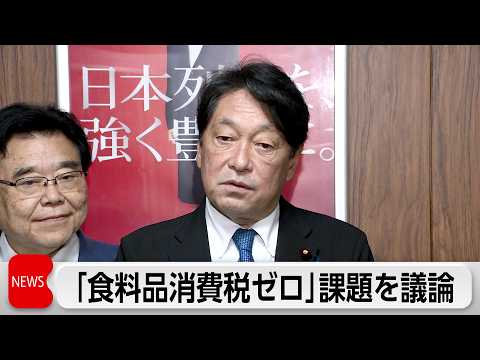 自民党税制調査会　食料品消費税ゼロ導入に向けた課題を議論 サムネイル
