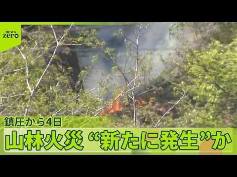 鎮圧から4日…岩手・大槌町で再び山林火災 “新たに発生”か サムネイル